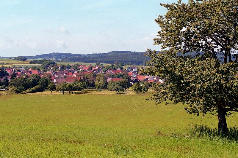 Klein-Eichen
