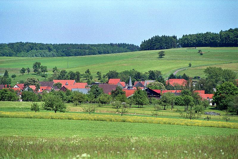 Klein-Eichen